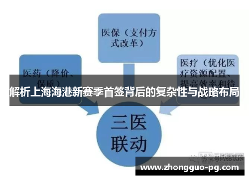 解析上海海港新赛季首签背后的复杂性与战略布局 解析上海海港新赛季首签背后的复杂性与战略布局