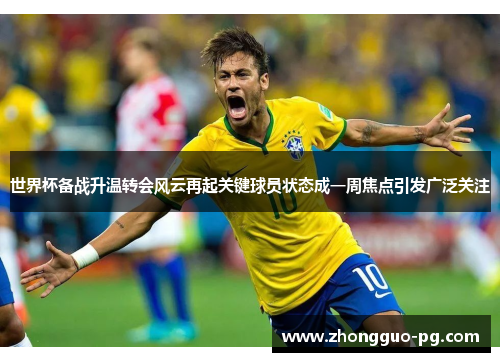 世界杯备战升温转会风云再起关键球员状态成一周焦点引发广泛关注